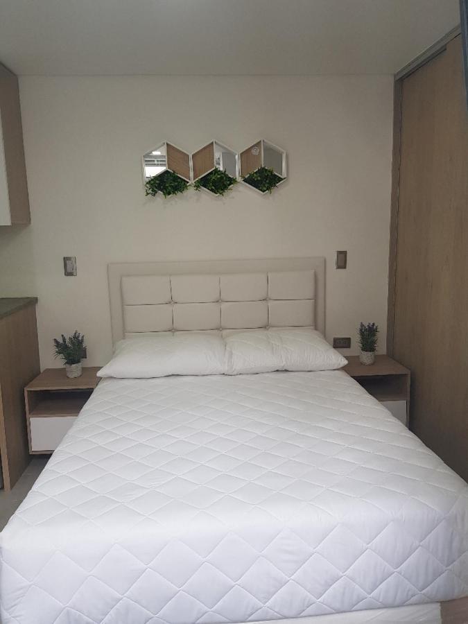 Zenia 70 Living & Apartment